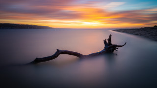 Sunset tree branch water longexposure - a long exposure of light free wallpaper