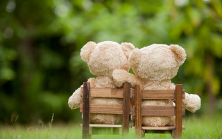 Teddy bears wooden bench love - two teddy free wallpaper