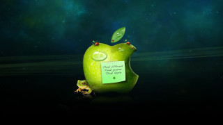 Green apple note frog leaf - a frog free wallpaper