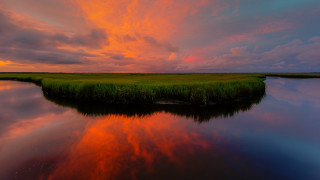 Sunset marshy area water grassy - free sky wallpaper for desktop
