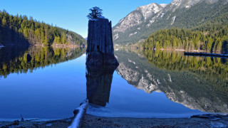 Lake mountains treestump tiltshift symmetry - symmetrical balance free wallpaper
