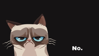 Grumpy cat blue eyes no 2 - the caption free wallpaper for desktop