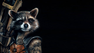 Raccoon gun leather outfit animal - its hand free wallpaper