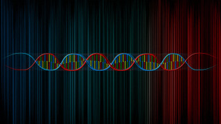 Colorful lines wave light mandelbrot - a line free wallpaper