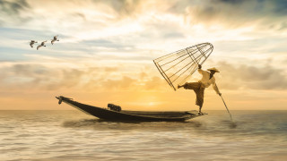 Man boat birdcage sky birds - ding guanpeng free wallpaper