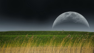 Large moon grassy field distant - a large moon free wallpaper