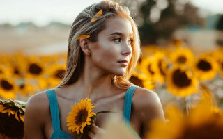 Woman sunflower field autumn blurry - a sunflower free wallpaper