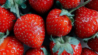 Strawberries water drops green stem - strawberry free wallpaper