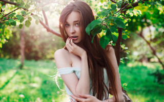 Woman long hair field nature - free forest wallpaper for desktop