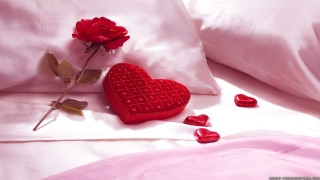 Red heart pillow bed rose - pillow free wallpaper
