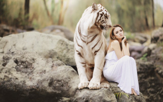 Woman white tiger rock grass - a white tiger free wallpaper