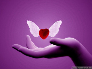 Hand heart wings flying purple - a hand holding free wallpaper