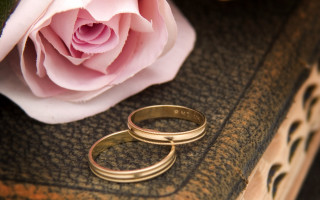 Gold wedding rings book pink - bracha l. ettinger free wallpaper