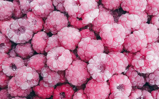 Raspberries ice water droplets microscopic - frozen free wallpaper