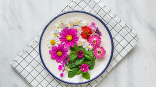 Flower bouquet stilllife daisy honeycomb - a plate free wallpaper