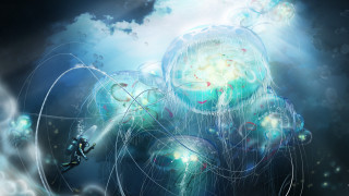 Diving man jellyfish ocean bubbles - a jellyfish free wallpaper