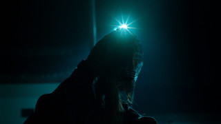 Horse light dark person symbolism - its head in free wallpaper