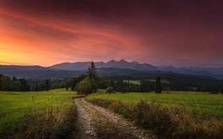Dirt road green field cloudy 8 - a lush green field under a cloudy sky free wallpaper