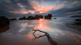 Tree beach sunset clouds matte - widescreen free wallpaper for desktop