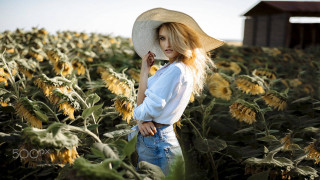 Sunflower field woman hat barn - an impressionist painting free wallpaper for desktop