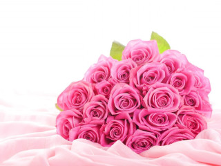 Pink roses bouquet white background - a bouquet free wallpaper