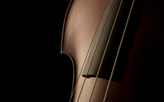 Cello reflection photorealism shallowfied flemishbaroque - a light reflection free wallpaper