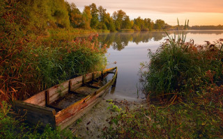 Lake sunset ecological landscape forest - the shore of a lake free wallpaper