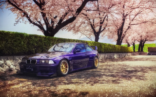 Purple car pink flowers 3d - a purple car free wallpaper