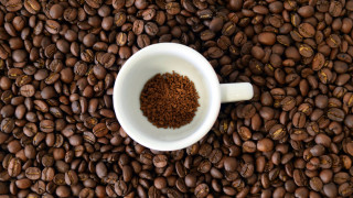 Coffee beans autumn flower stone - afewerk tekle free wallpaper