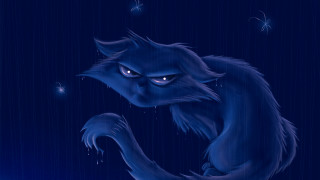 Blue cat glowing eyes rainy - a blue umbrella free wallpaper