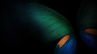 Butterfly green orange hologram astronaut - back end free wallpaper