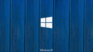Blue wooden wall white cat - a white window free wallpaper