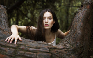 Woman tree trunk posing blurry - anna findlay free wallpaper