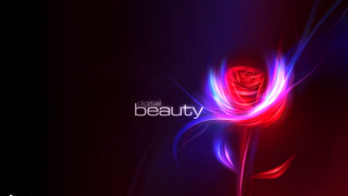 Red rose purple blue swirl - swirl free wallpaper