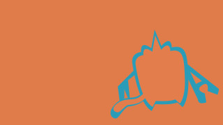 Blue orange bird orange background - an orange background free wallpaper