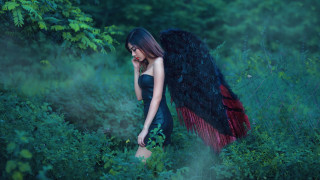 Gothic woman black dress feather - a field of grass and trees free wallpaper