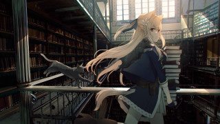 Library angelic fox cat portrait - a library free wallpaper