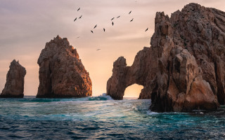 Birds ocean rock sunset matte - fitz hugh lane free wallpaper