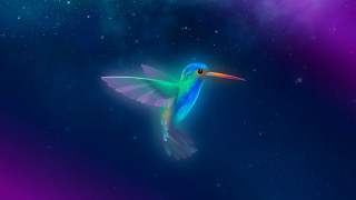 Colorful bird flying starry sky - the sky behind free wallpaper