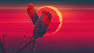 Birds sunset red moon torii - a branch in front free wallpaper