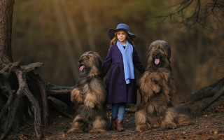 Girl hat coat dogs forest - fallen free wallpaper