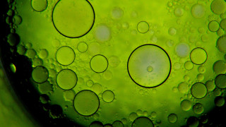Green liquid bubbles macro bokeh - a white circle in the middle free wallpaper