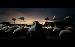 Woman black veil flamingos sunset - cinematography free wallpaper