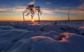 Sunset snowy field trees clouds - david martin free wallpaper