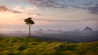 Lone tree grassy hill mountains 5 - a grassy hill free wallpaper