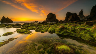 Sunset rocky beach green algae - green alga free wallpaper