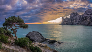 Cliff ocean sunset tree rock - widescreen free wallpaper for desktop