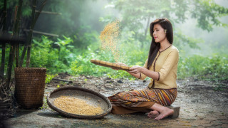 Woman sitting wooden stick rice - heavy free wallpaper