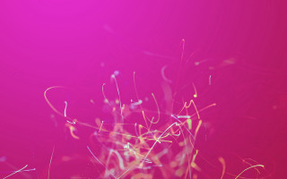 Pink branches red cloud evening - the center of it free wallpaper