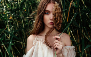 Woman holding dried plant christmas - a woman holding free wallpaper